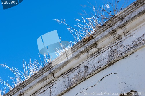 Image of Bo Kaap, Cape Town 098-Grass