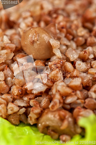 Image of buckwheat
