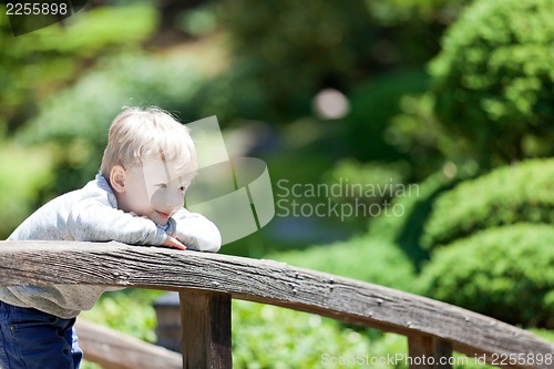 Image of kid at the park