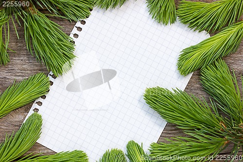 Image of Empty paper form with fir-tree branches