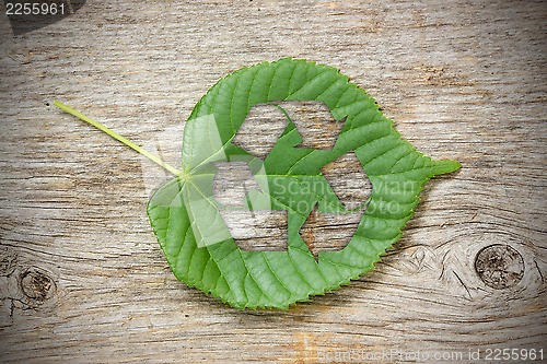Image of Green leaf with recycle symbol