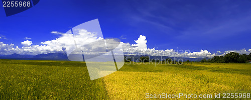 Image of Village Landscape Panorama, Samosir Island.