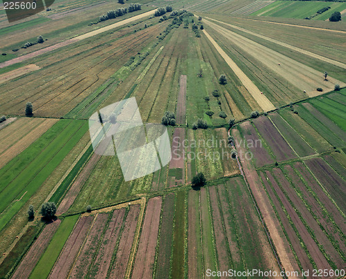 Image of Aerial View of Farmland