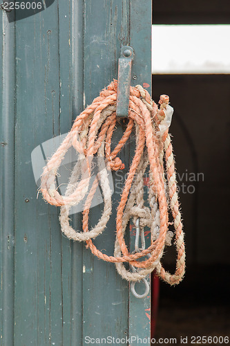 Image of Old rope hanging 