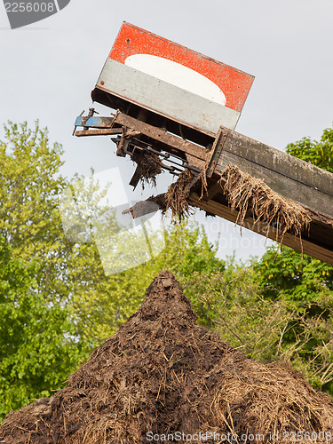 Image of Heap of cow dung