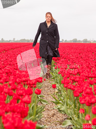 Image of Woman standing in a field of tulips