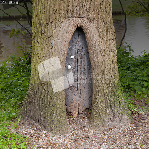 Image of Little wooden fairy tale door