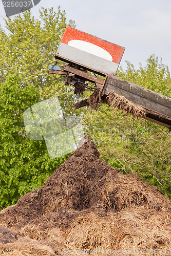 Image of Heap of cow dung