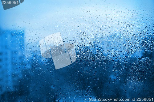 Image of Natural drops of water on window glass