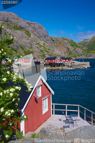 Image of Scenic Nusfjord