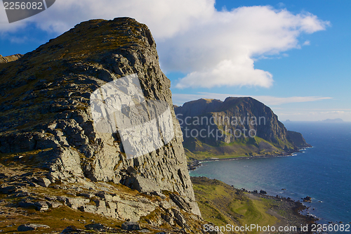 Image of Coastal cliffs