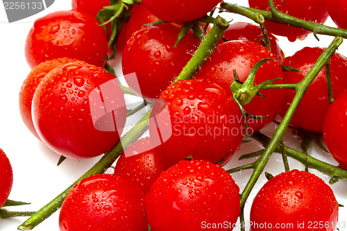 Image of Ripe cherry tomatoes on white background