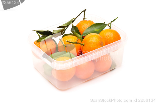 Image of Ripe tangerines in plastic container