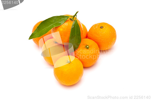 Image of Ripe tangerines on white background