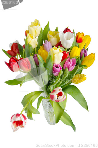 Image of Bouquet of tulips in a crystal vase