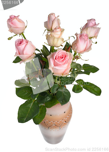 Image of Bouquet of pink roses in a ceramic vase