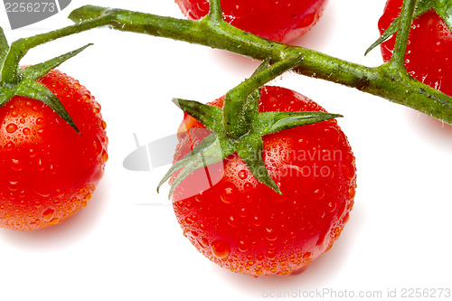 Image of Ripe cherry tomatoes on white background