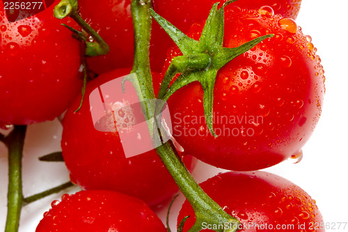 Image of Ripe cherry tomatoes on white background