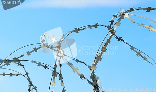 Image of Barbed wire