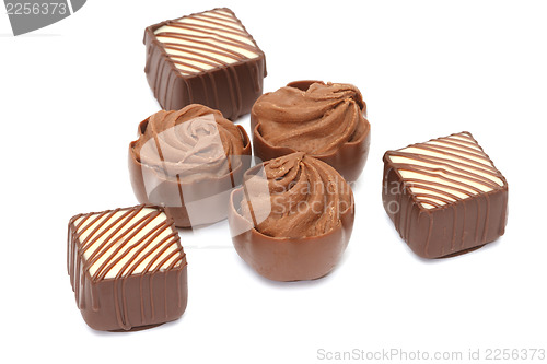 Image of Chocolate pralines on white background