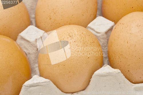 Image of Brown eggs in a carton package closeup