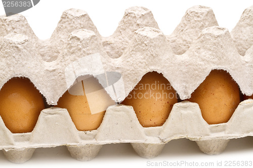 Image of Brown eggs in a carton package on white background