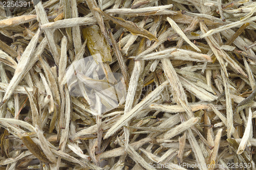 Image of Chinese white tea as background