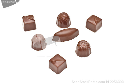 Image of Chocolate pralines on white background