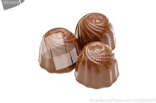 Image of Chocolate pralines on white background