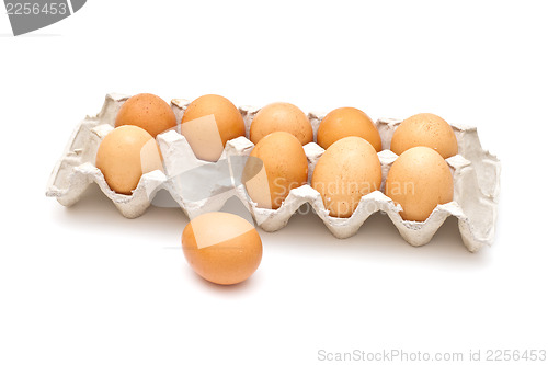 Image of Brown eggs in a carton package on white background