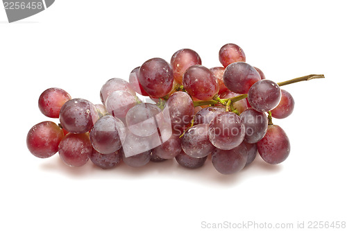 Image of Bunch of red grapes on white background