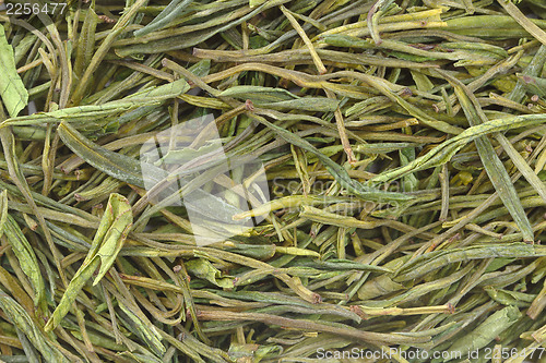 Image of Chinese green tea as background