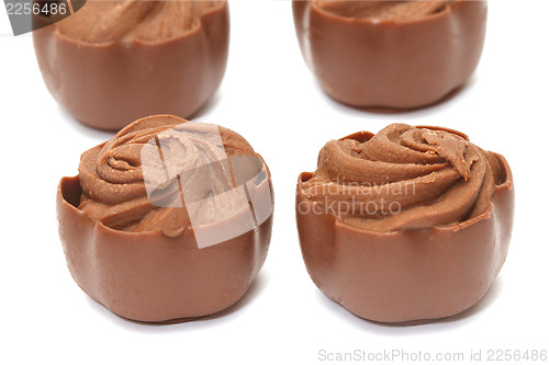 Image of Chocolate pralines on white background