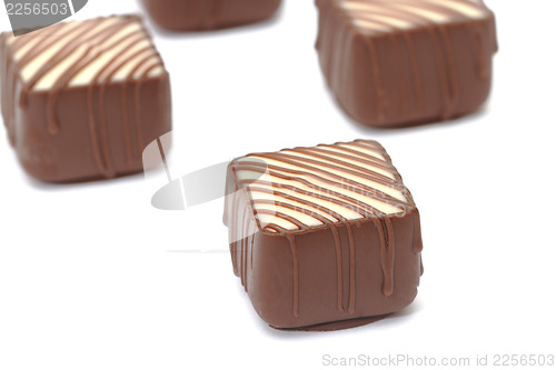 Image of Chocolate pralines on white background