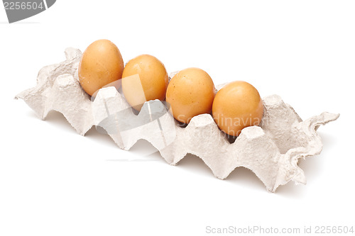 Image of Brown eggs in a carton package on white background