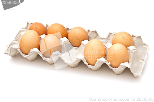 Image of Brown eggs in a carton package on white background