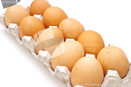 Image of Brown eggs in a carton package on white background