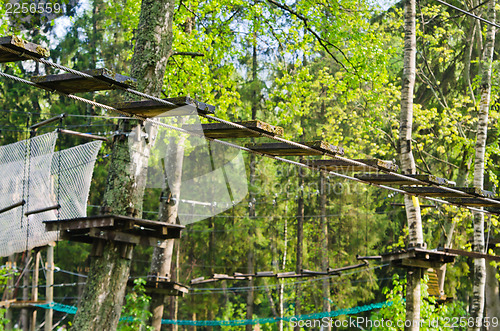 Image of Dangerous ropeway with tether in rope park, trees with green lea
