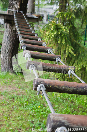 Image of adventure climbing high wire park