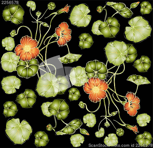 Image of Seamless background. Illustration nasturtium.