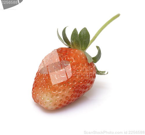 Image of Fresh strawberry