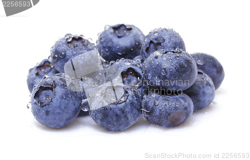 Image of Fresh blueberry 