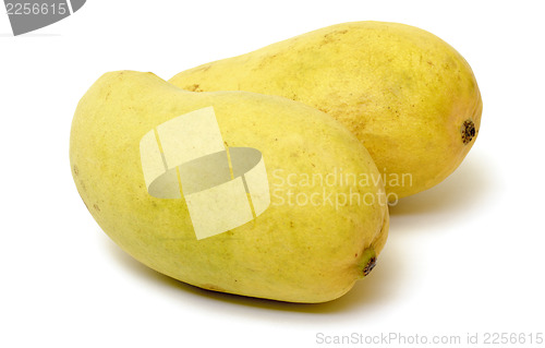 Image of Ripe mango 