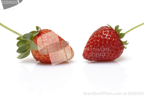 Image of Fresh strawberry