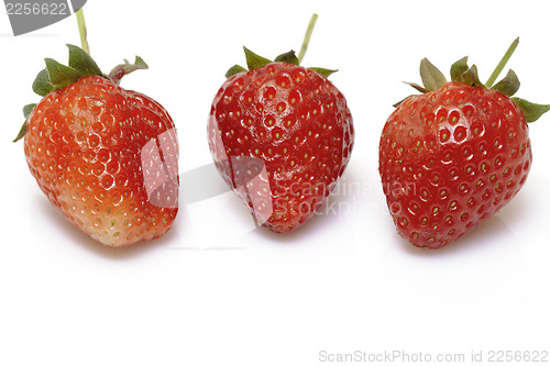 Image of Fresh strawberry