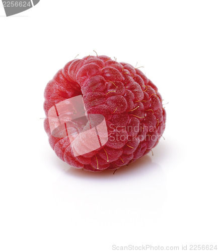 Image of Fresh raspberry