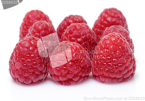 Image of Fresh raspberry