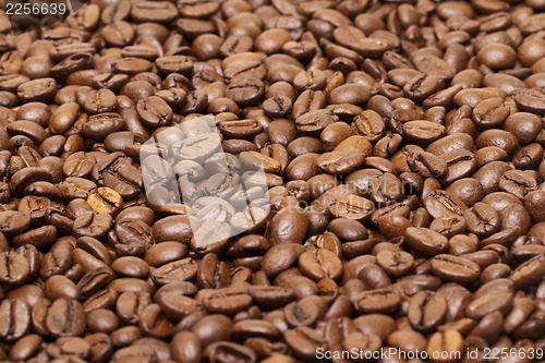 Image of Coffee beans as background
