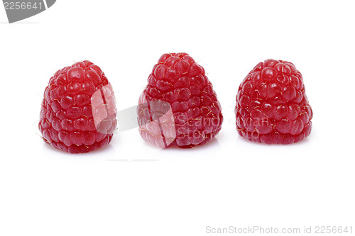 Image of Fresh raspberry