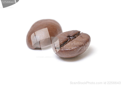 Image of Coffee beans closeup